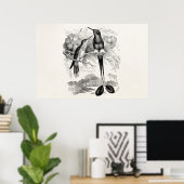 Vintage 1800s Racket-Tail Hummingbird Racquet Tail Poster (Thuiskantoor)