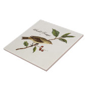 Vintage 1800s Scarlet Tanager Bird Songbird Birds Tegeltje (Zijkant)