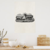 Vintage 1800s Sheep Ewe Illustration Retro Boerder Poster (Keuken)