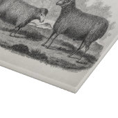 Vintage 1800s Sheep Ewe Illustration Retro Boerder Snijplank (Hoek)