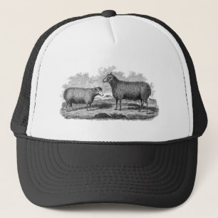 Vintage 1800s Sheep Ewe Illustration Retro Boerder Trucker Pet