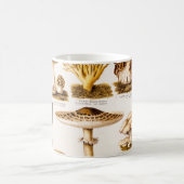 Vintage 1800s Sjabloon van paddenstoelvariëteiten Koffiemok (Center)