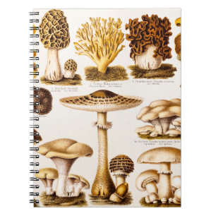 Vintage 1800s Sjabloon van paddenstoelvariëteiten Notitieboek