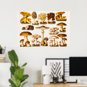 Vintage 1800s Sjabloon van paddenstoelvariëteiten Poster (Thuiskantoor)