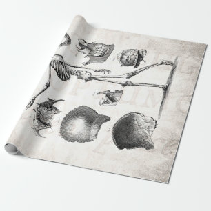 Vintage 1800s Skelet Antiek anatomie skeletten Cadeaupapier