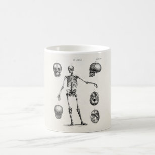 Vintage 1800s Skelet Antiek anatomie skeletten Koffiemok