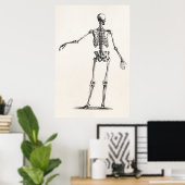 Vintage 1800s Skelet Antiek anatomie skeletten Poster (Thuiskantoor)