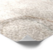 Vintage 1800s Skelet Antiek anatomie skeletten Poster (Hoek)