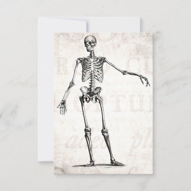 Vintage 1800s Skelet Retro Skeletons Anatomie (Voorkant)