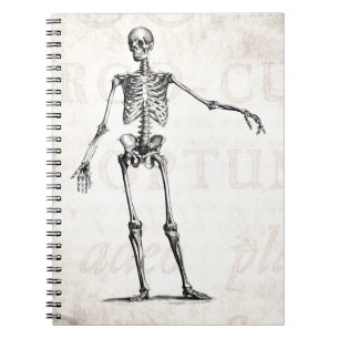 Vintage 1800s Skelet Retro Skeletons Anatomie Notitieboek