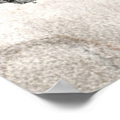 Vintage 1800s Skeleton Antique Anatomy Skeletons Poster (Hoek)