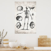 Vintage 1800s Skeleton Antique Anatomy Skeletons Poster (Keuken)