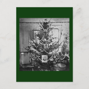 Vintage 1800s van de Kerstboom van Stereoview de Feestdagenkaart