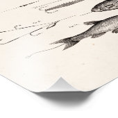 Vintage 1800s Vliegende vliegen Oude haken Foto Afdruk (Hoek)