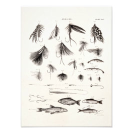 Vintage 1800s Vliegende vliegen Oude haken Foto Afdruk