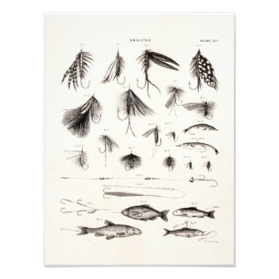 Vintage 1800s Vliegende vliegen Oude haken Foto Afdruk