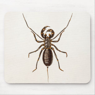 Vintage 1800s zwarte rode Scorpion Sjabloon Scorpi Muismat