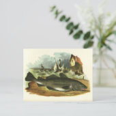 Vintage 1859 Codfish FolkArt Illustratie Briefkaart (Staand voorkant)