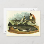 Vintage 1859 Codfish FolkArt Illustratie Briefkaart (Voorkant / Achterkant)