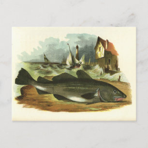 Vintage 1859 Codfish FolkArt Illustratie Briefkaart