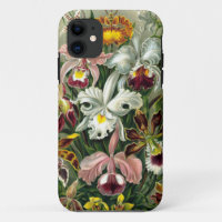 Vintage 1865 Illustratie botanische orchideeën