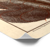 Vintage 1879 Lager Saranac Lake Reconnaissance Map Poster (Hoek)