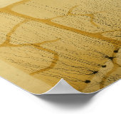 Vintage 1886 Central Nervous System Nerves Poster (Hoek)