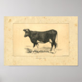 Vintage 1888 Guernsey Koe Print (Voorkant)