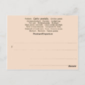 Vintage, 1890, Trummelbach Herfsten, Lauterbrunnen Briefkaart (Achterkant)