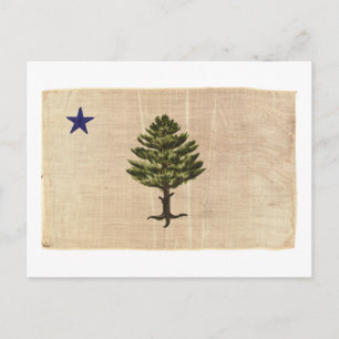 Vintage 1901 Maine Flag Briefkaart
