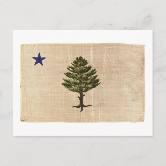 Vintage 1901 Maine Flag Briefkaart (Voorkant)