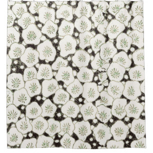 Vintage 1902 Japanse bloem: Zwarte Witte Bloesem Douchegordijn