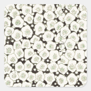 Vintage 1902 Japanse bloem: Zwarte Witte Bloesem Vierkante Sticker