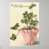 Vintage 1905 Botanical Wall Poster (Voorkant)