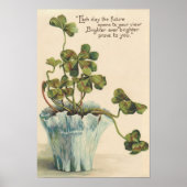 Vintage 1905 Botanical Wall Poster (Voorkant)