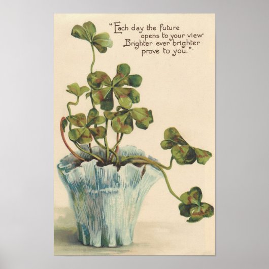 Vintage 1905 Botanical Wall Poster (Voorkant)