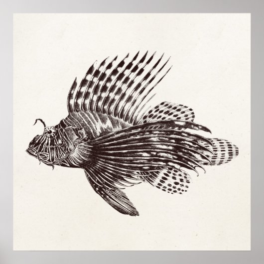 Vintage 1905 Schorpvis Retro leeuwen Poster (Voorkant)