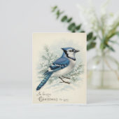 Vintage 1908 Blue Jay Christmas  Briefkaart (Staand voorkant)