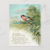 Vintage 1908 Bullfinch Christmas Holiday Briefkaart (Voorkant)
