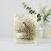 Vintage 1908 Christmas Bird Greeting Briefkaart (Staand voorkant)