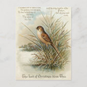Vintage 1908 Christmas Bird Greeting Briefkaart (Voorkant)