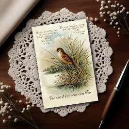Vintage 1908 Christmas Bird Greeting Briefkaart