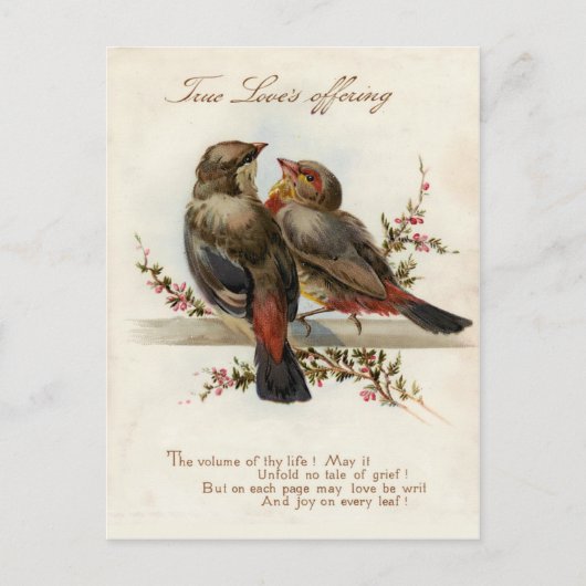 Vintage 1908 True Love's Offering Briefkaart (Voorkant)