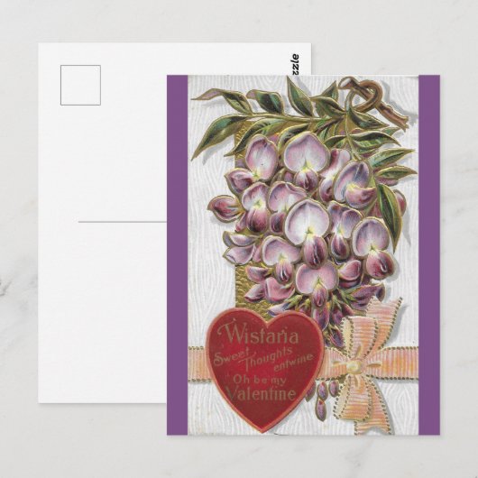 Vintage 1912 Paarse Wistaria Briefkaart (Voorkant / Achterkant)