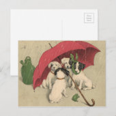 Vintage 4 Honden onder het Briefkaart (Voorkant / Achterkant)