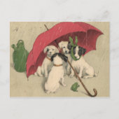 Vintage 4 Honden onder het Briefkaart (Voorkant)