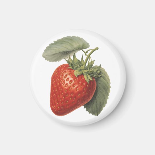 Vintage Aardbei Magneet (Voorkant)