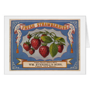Vintage Ad voor verse aardbeien circa 1868