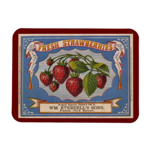 Vintage Ad voor verse aardbeien circa 1868 postc Magneet
