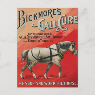 Vintage advertentie voor Bickmore's Gall Cure voor Briefkaart